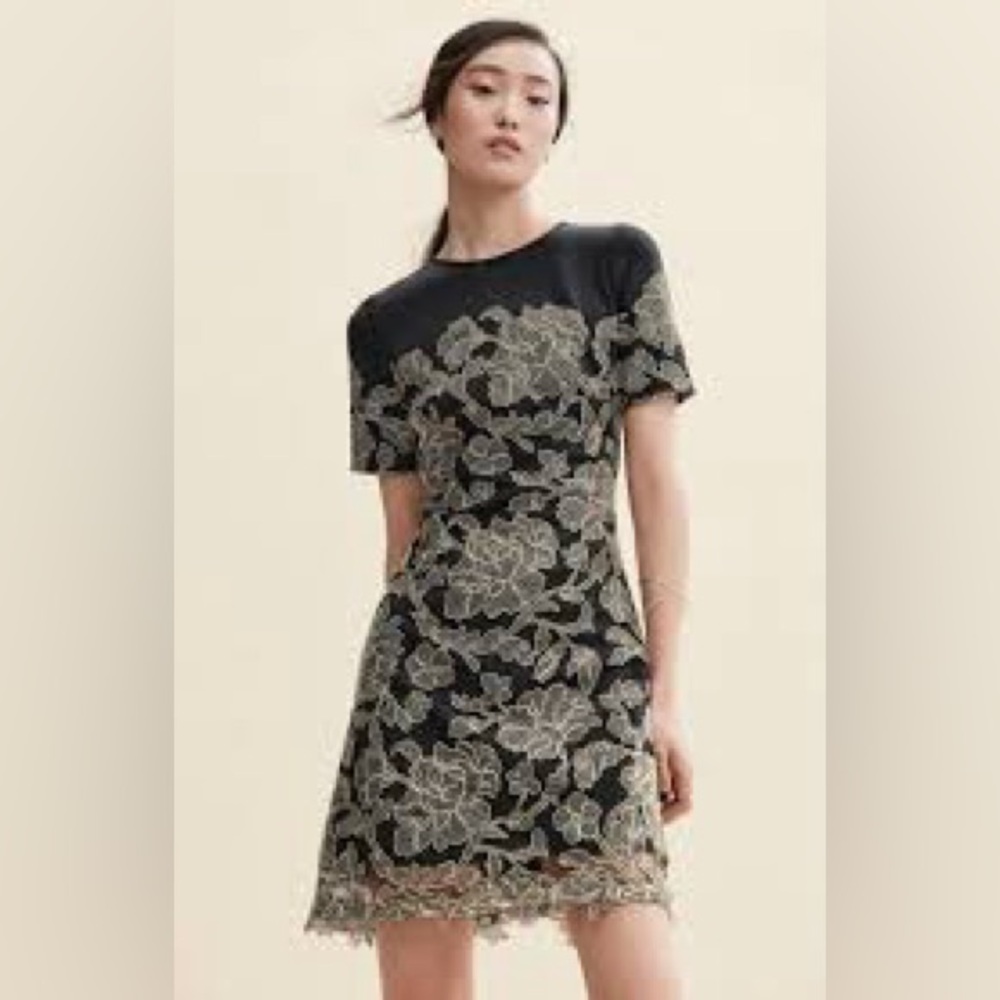 Tadashi Shoji Black Gold Corded‎ Floral Lace Sheath Dress Size 12 Scalloped Hem